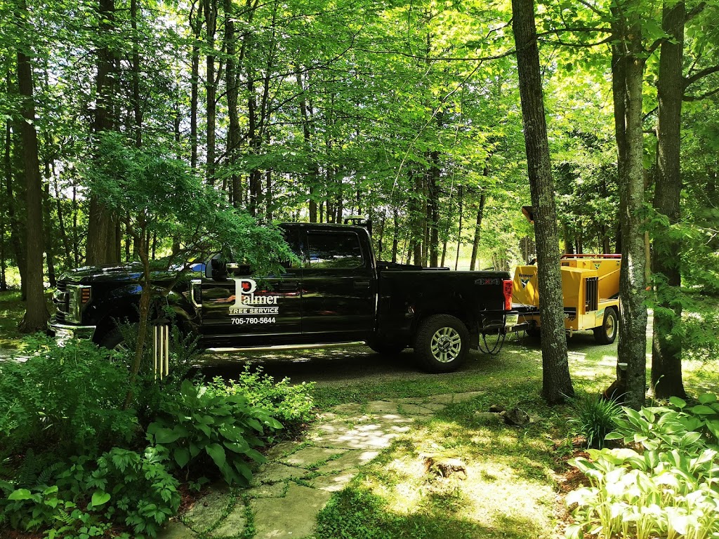 Palmer Tree Service | 11 Ward Rd, Warkworth, ON K0K 3K0, Canada | Phone: (705) 760-5644