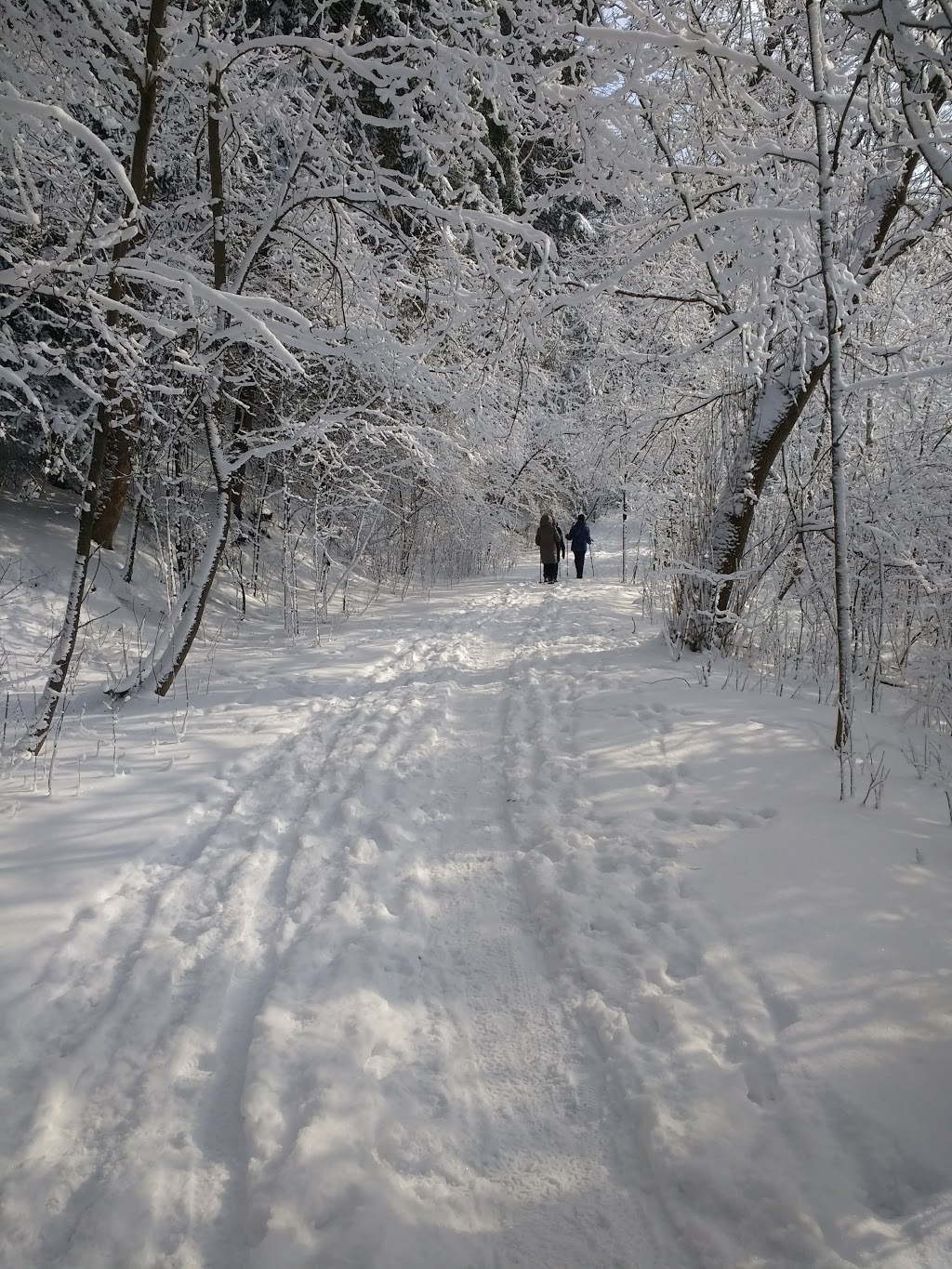 WCC Hydrocut Trails Pines Entrance | 1974 Snyders Rd E, Petersburg, ON N0B 2H0, Canada