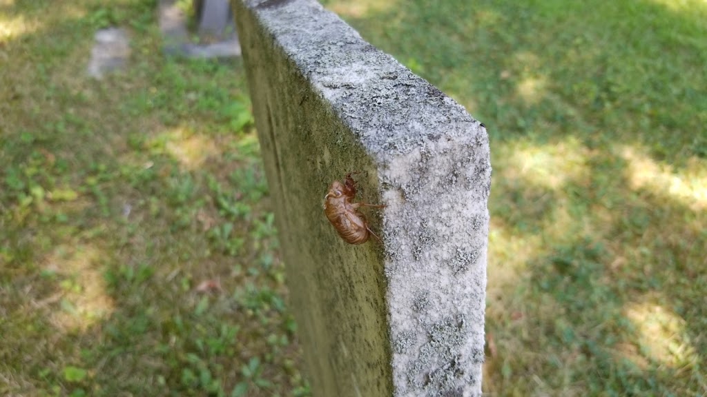 Cimetière Douglass | QC-221, Napierville, QC J0J 1L0, Canada