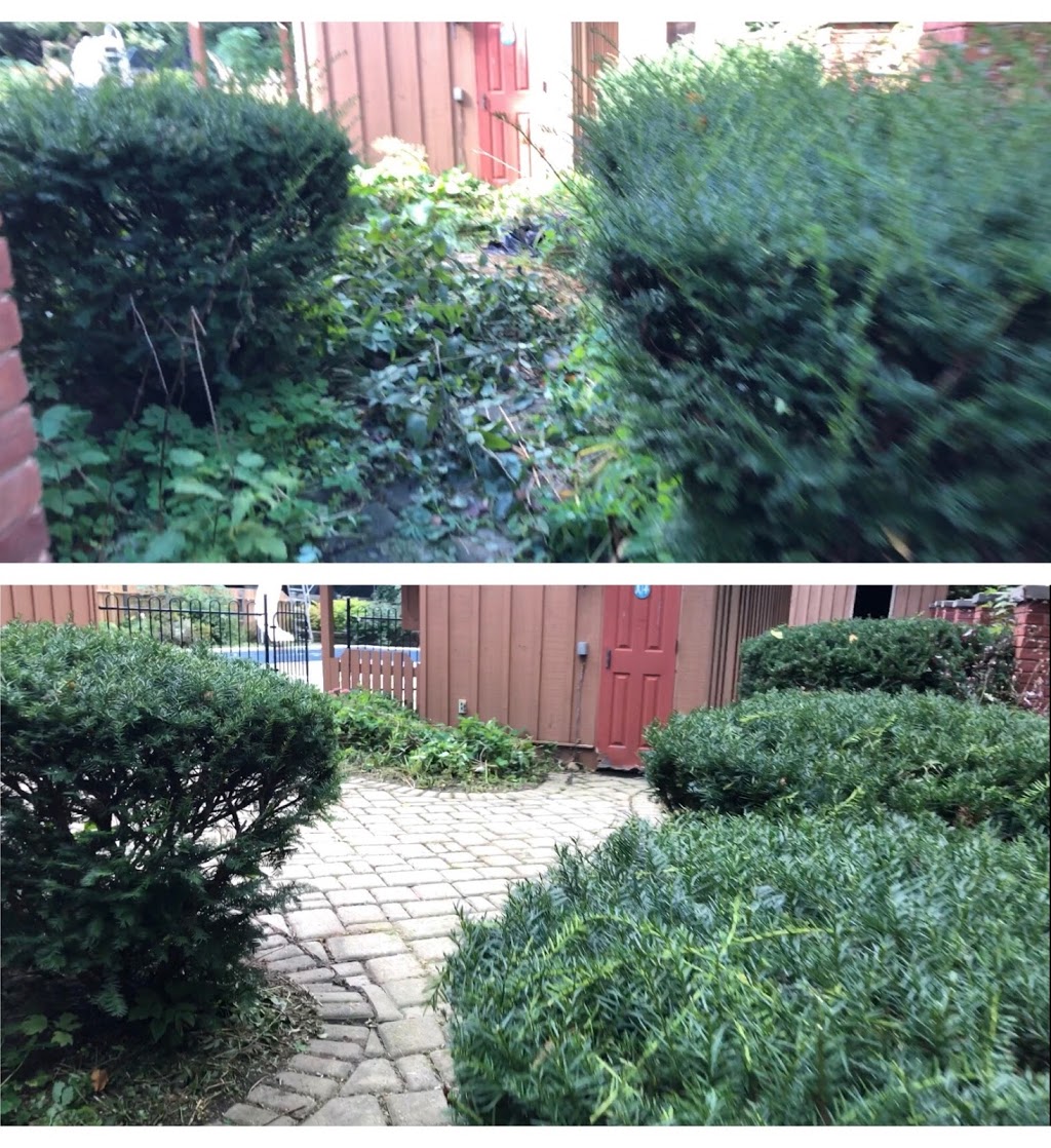 Lawn Love Property Maintenance | 12 Willis Pl, Uxbridge, ON L9P 1A6, Canada | Phone: (905) 490-0434