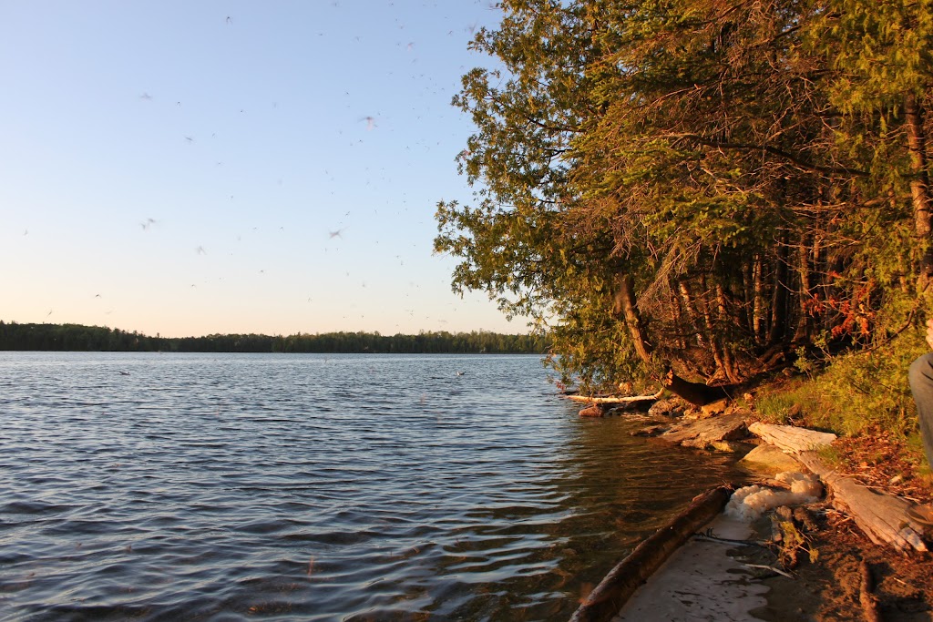 Tamarack Campsites | 469 Cyprus Lake Rd, Tobermory, ON N0H 2R0, Canada | Phone: (877) 737-3783