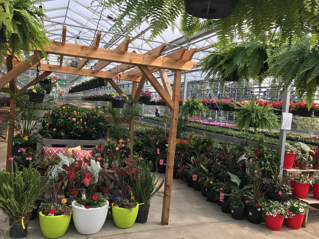 Floristerra Outdoor Living Centre | 1033 Kenning Pl, Elmira, ON N3B 2Z1, Canada | Phone: (519) 669-2437