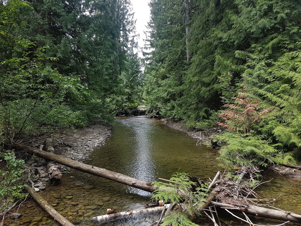 Tsútswecw (Roderick Haig-Brown) Provincial Park | Columbia-Shuswap F, BC V0E, Canada | Phone: (250) 320-9305
