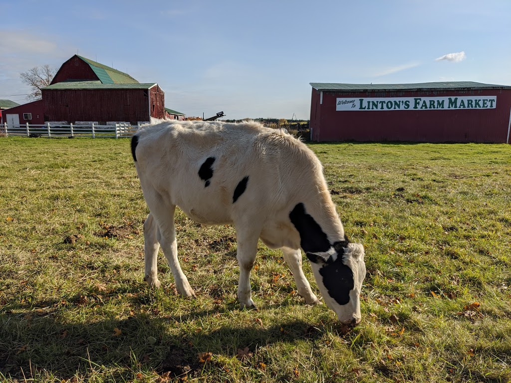 Lintons Farm Market | 571 Raglan Rd E, Oshawa, ON L1H 0N1, Canada | Phone: (905) 655-3949