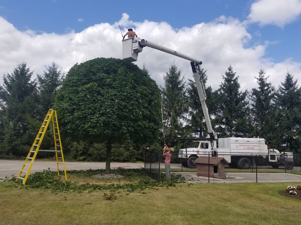 Branches Tree Service | 3165 Lambs Rd, Bowmanville, ON L1C 6J7, Canada | Phone: (905) 432-1422