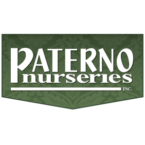 Paterno Nurseries | 334 ON-5, Dundas, ON L9H 5E2, Canada | Phone: (905) 689-6035