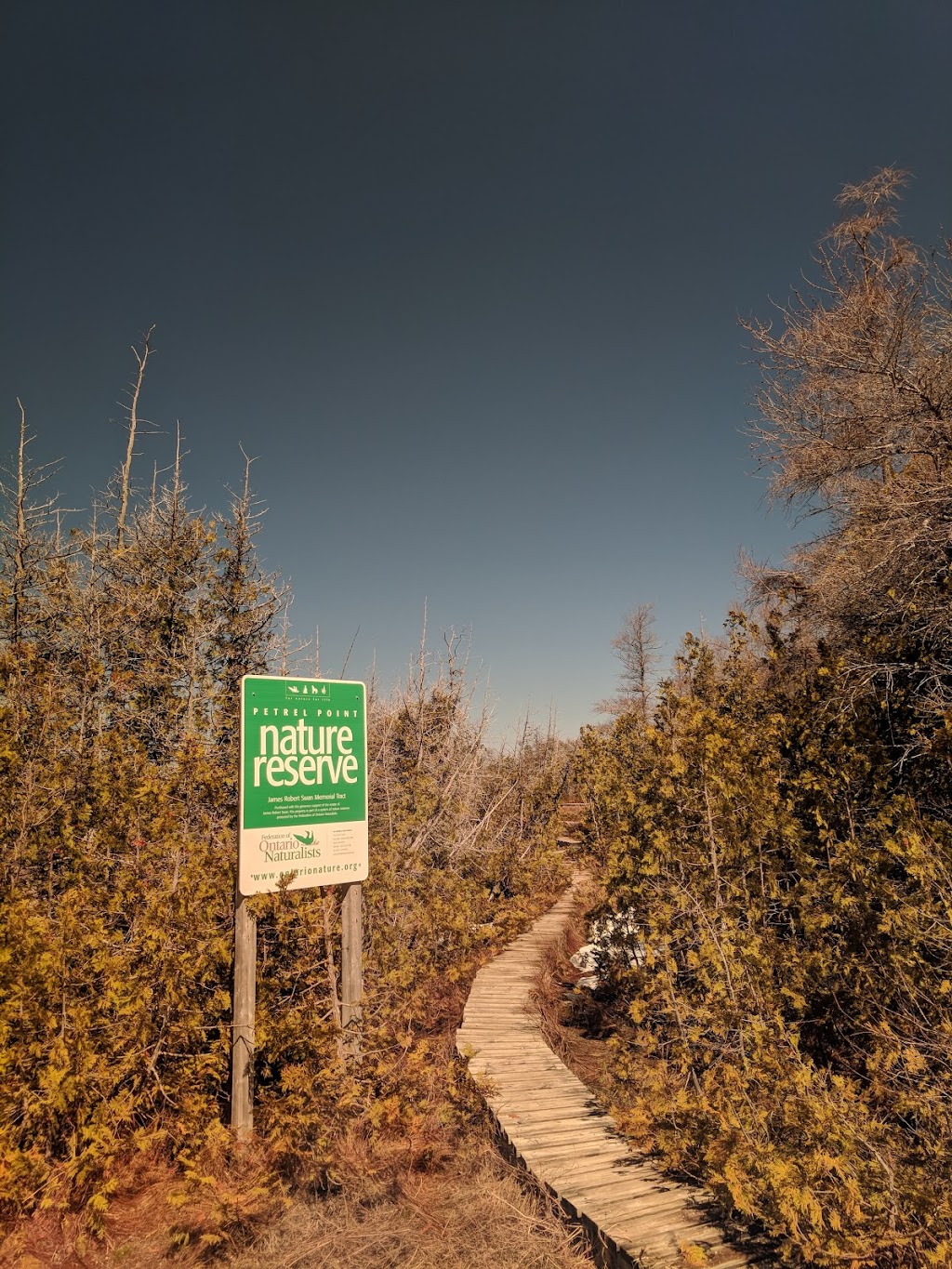 Petrel Point Nature Reserve | Petrel Point Rd, South Bruce Peninsula, ON N0H 1X0, Canada | Phone: (800) 440-2366