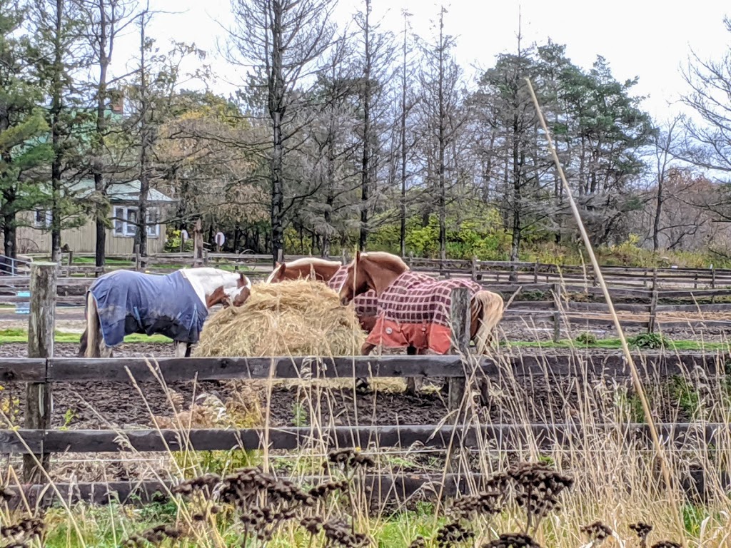 Stoneleigh Farms Ltd | Skyline Deerhurst Resort, 2 Turnbull Ln, Huntsville, ON P1H 1A9, Canada | Phone: (705) 788-6665