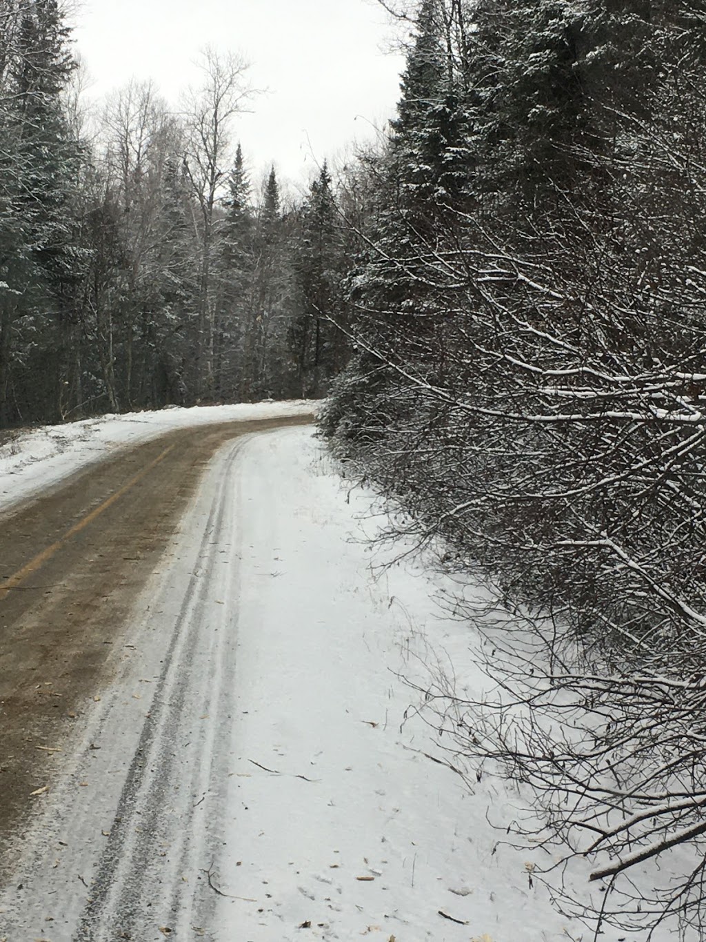 Débroussaillage - Transport Gilles Nault | 684 Route 105, Bois-Franc, QC J9E 3A9, Canada | Phone: (819) 660-1588