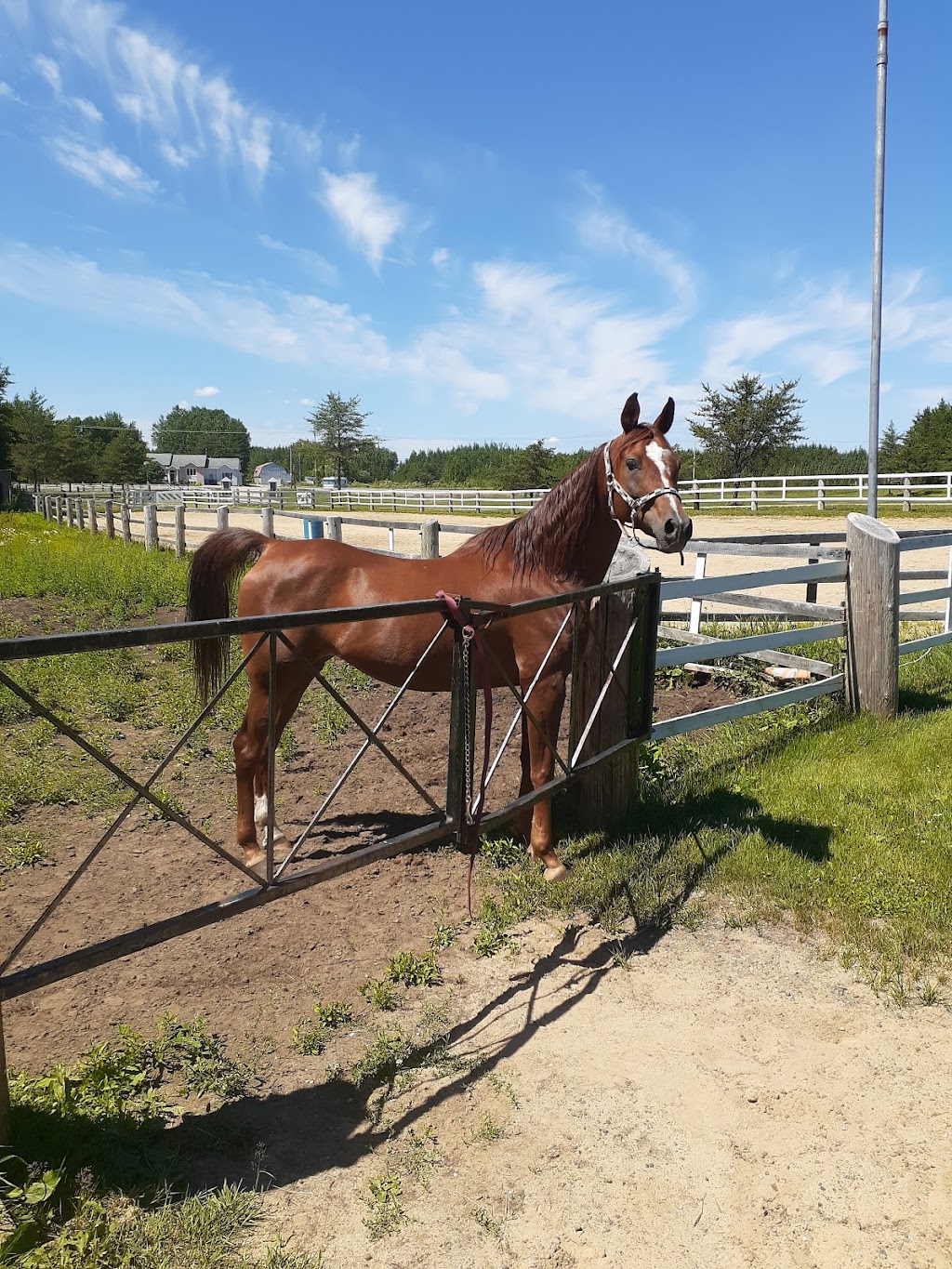 Domaine Du Ranch (LBar dElle) | 591 QC-169, Sainte-Jeanne-dArc, QC G0W 1E0, Canada | Phone: (418) 276-3064