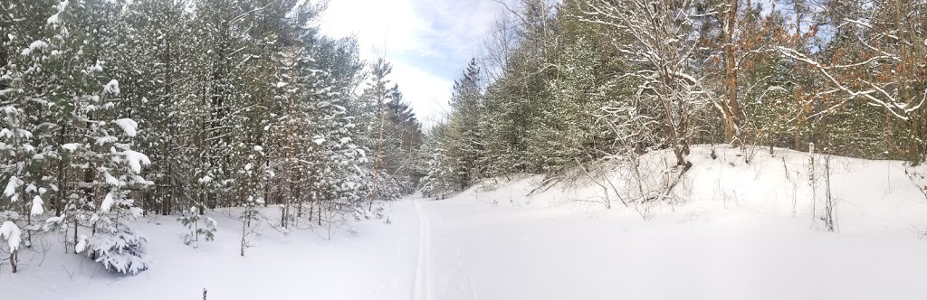 East Walker Woods Trailhead | Walker Woods, Goodwood, ON L0C 1A0, Canada