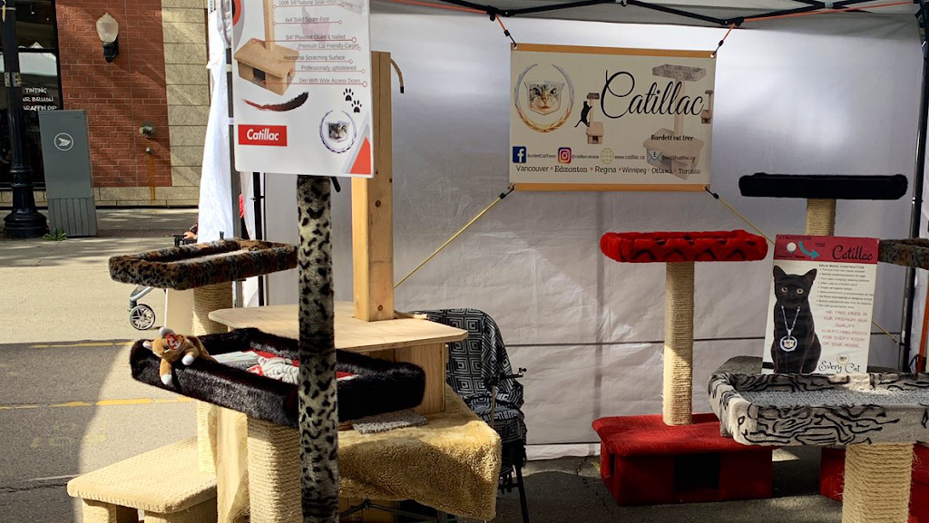 Catillac Co. Building Cat Trees For Canadians | 10204 79 St NW, Edmonton, AB T6A 3G5, Canada | Phone: (780) 937-4370