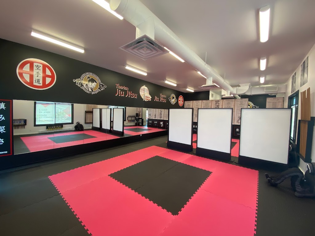 Dojos Martial Arts St-Henri | 75 Rte Campagna, Saint-Henri, QC G0R 3E0, Canada | Phone: (581) 922-1299