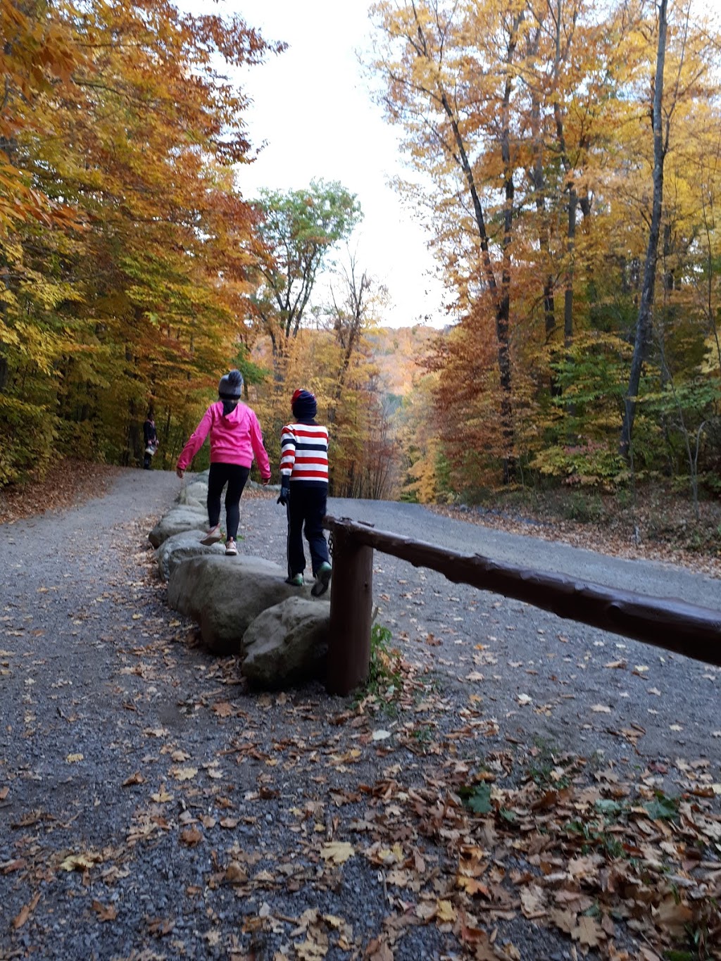 Discovery Trail | Chemin du Lac Meech, Chelsea, QC J9B 1H9, Canada