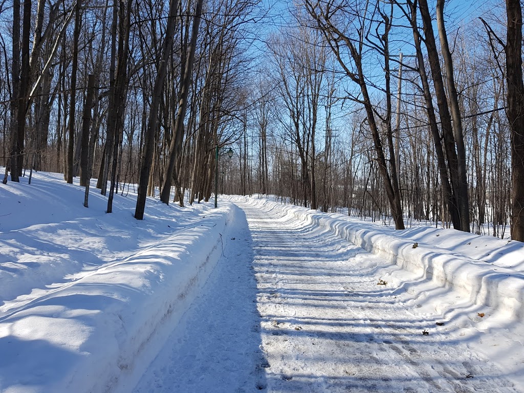 Réserve Naturelle du Boisé-Roger-Lemoine | Deux-Montagnes, QC J7R 7G4, Canada | Phone: (450) 473-2796