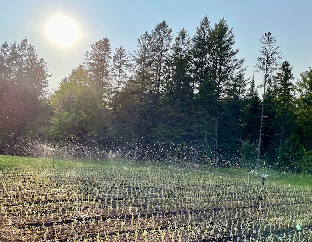 Ferme maraîchère Terre vivante | 4505 Chem. Orr, Cookshire-Eaton, QC J0B 1M0, Canada | Phone: (819) 575-9267