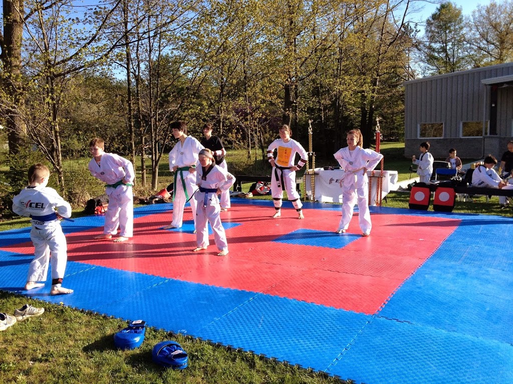 Excel Taekwondo Training Center | 10 Kitchener St, Orillia, ON L3V 6Z9, Canada | Phone: (705) 817-5425