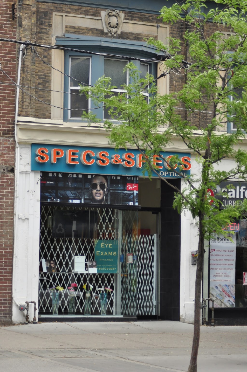 Specs & Specs Optical | 292 Queen St W, Toronto, ON M5V 2A1, Canada | Phone: (416) 979-3937