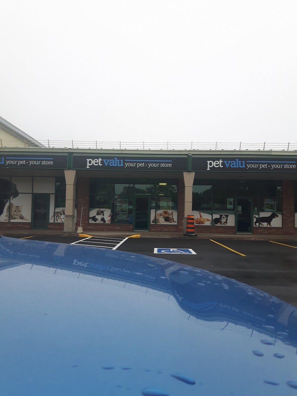 Pet Valu | 3714 Portage Rd, Niagara Falls, ON L2J 2K8, Canada | Phone: (905) 354-7444