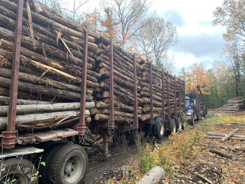 Hayes Timber Inc. | 7 N Diagonal, Hepworth, ON N0H 1P0, Canada | Phone: (519) 534-2067