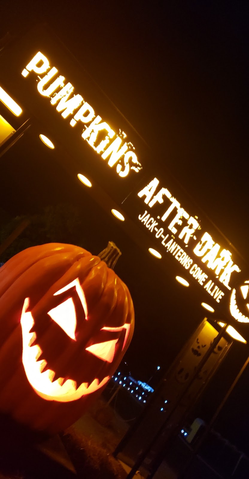 Pumpkins After Dark | 8560 Tremaine Rd, Milton, ON L9T 2X3, Canada | Phone: (365) 777-7867