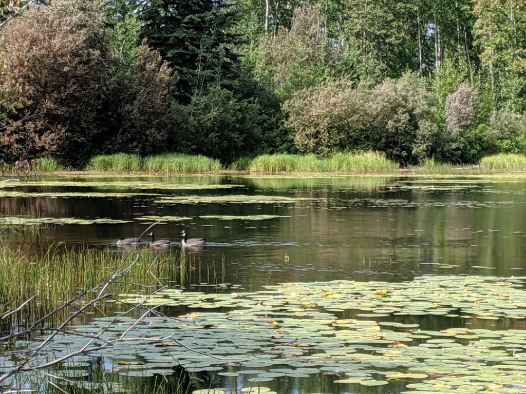 Sundance Regional Park (PRRD) | 1346 BC-97 S, Okanagan Falls, BC V0H 1R0, Canada | Phone: (800) 670-7773