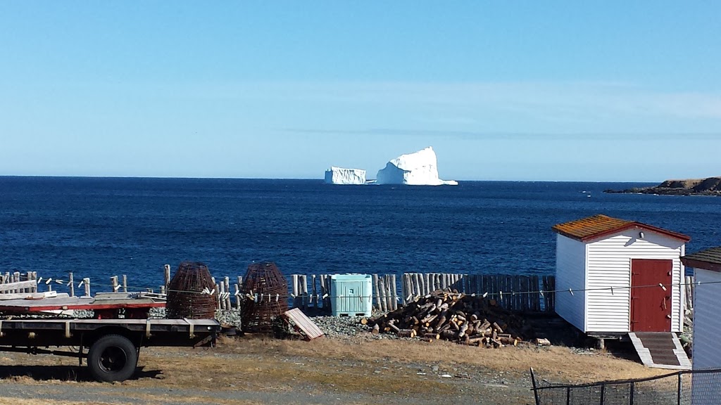 Southern Shore Shamrock Festival | Ferryland, NL A0A 1A0, Canada | Phone: (709) 432-2052