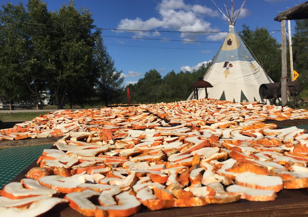 Les champignons du Lac-Édouard | 265 Rue Principale, Lac-Édouard, QC G0X 3N0, Canada | Phone: (819) 653-2052