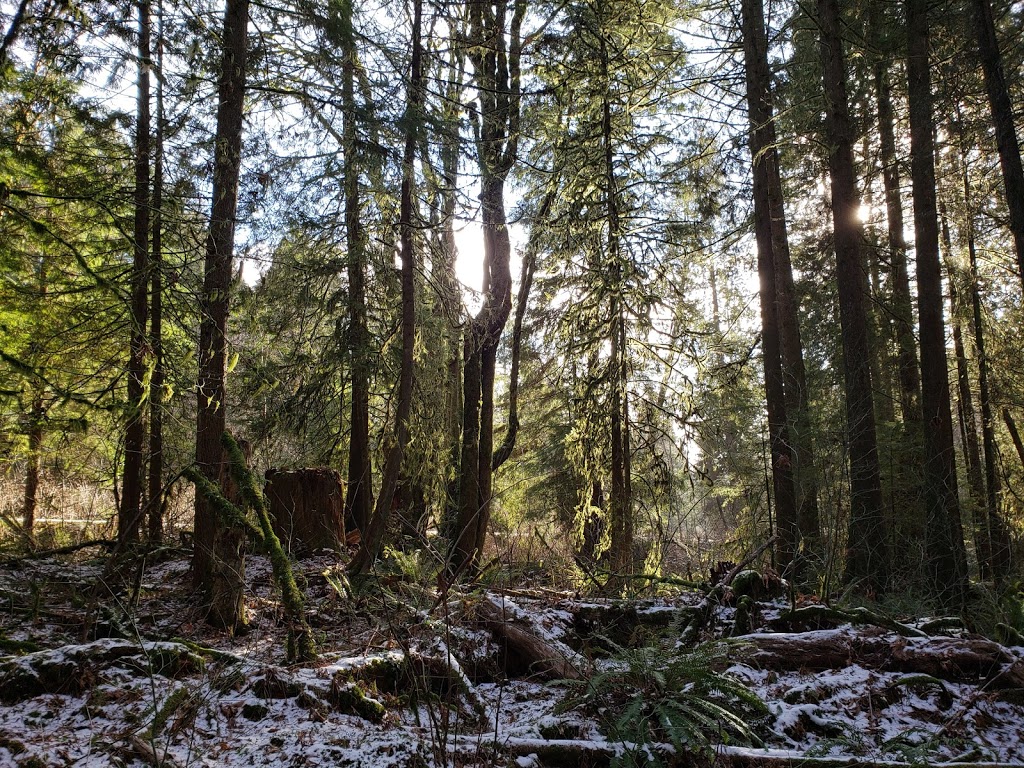 Old Buck Trailhead | North Vancouver, BC V7G, Canada