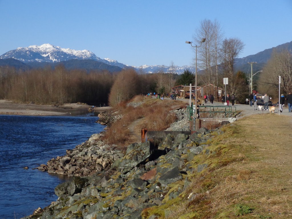 Mamquam River Trailhead | Government Rd, Squamish, BC V0N 1H0, Canada