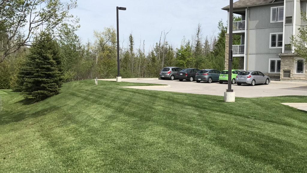 Advantage Grounds Care | #12299, Stayner, ON L0M 1S0, Canada | Phone: (705) 230-2721