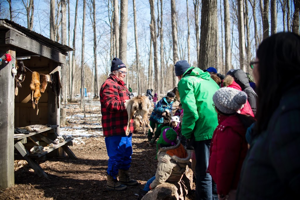 Sugarbush Maple Syrup Festival at Bruces Mill Conservation Area | 3291 Stouffville Rd, Whitchurch-Stouffville, ON L4A 7X5, Canada | Phone: (905) 887-5531