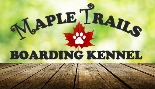 Maple Trails Boarding Kennel | 4278 Hogg Valley Rd, Victoria Harbour, ON L0K 2A0, Canada | Phone: (705) 534-3300