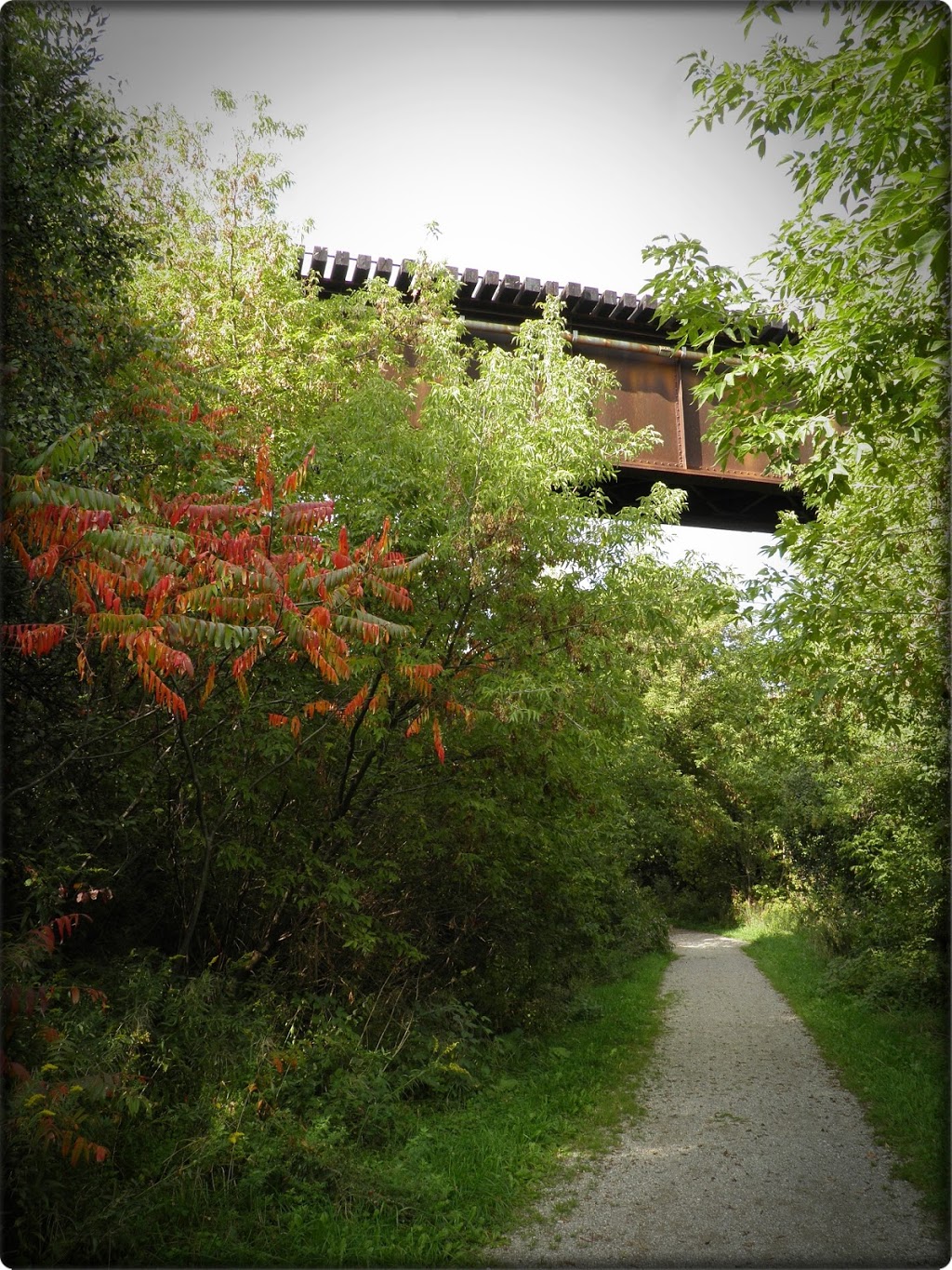 J.A. Pollock Family Trailway at Stanley Park Optimist Natural Ar | Shirley Dr, Kitchener, ON N2B, Canada