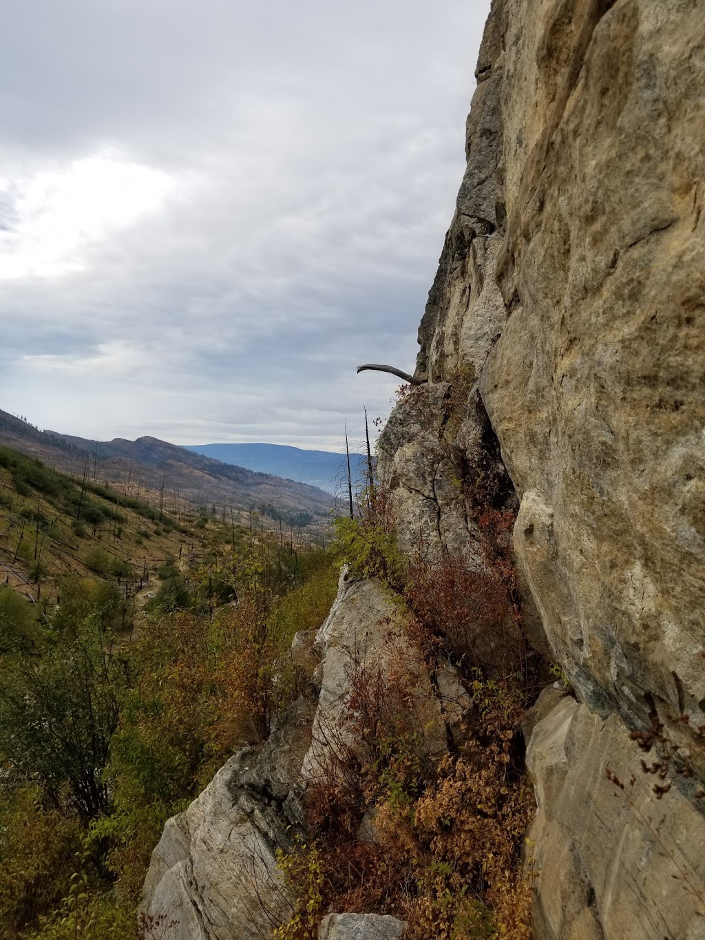 Johns Family Nature Conservancy | 6970 Chute Lake Rd, Kelowna, BC V1W 4L5, Canada | Phone: (250) 763-4918