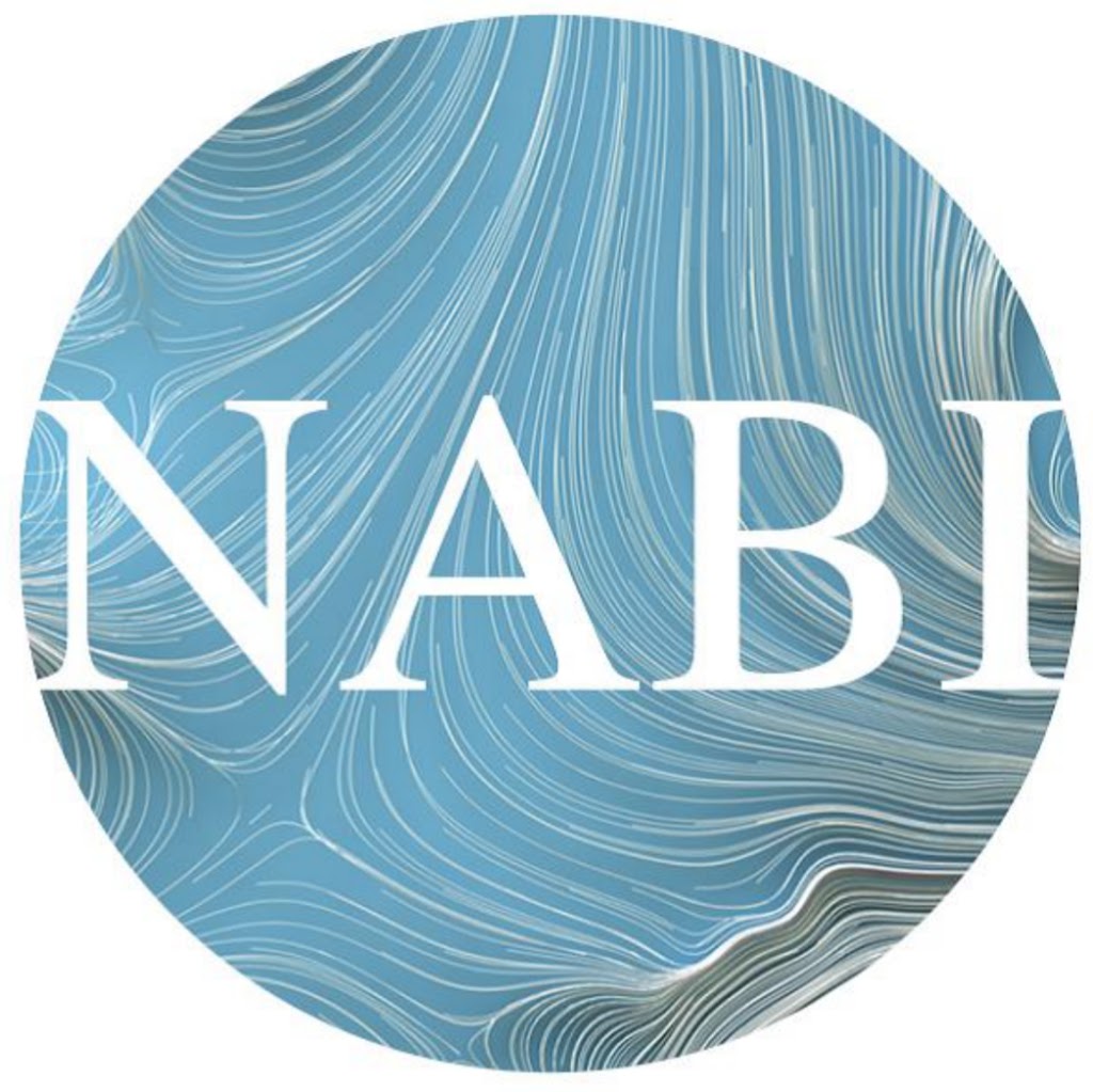 Nabi Imports | 6400 Kennedy Rd, Mississauga, ON L5T 2Z5, Canada | Phone: (416) 574-0257