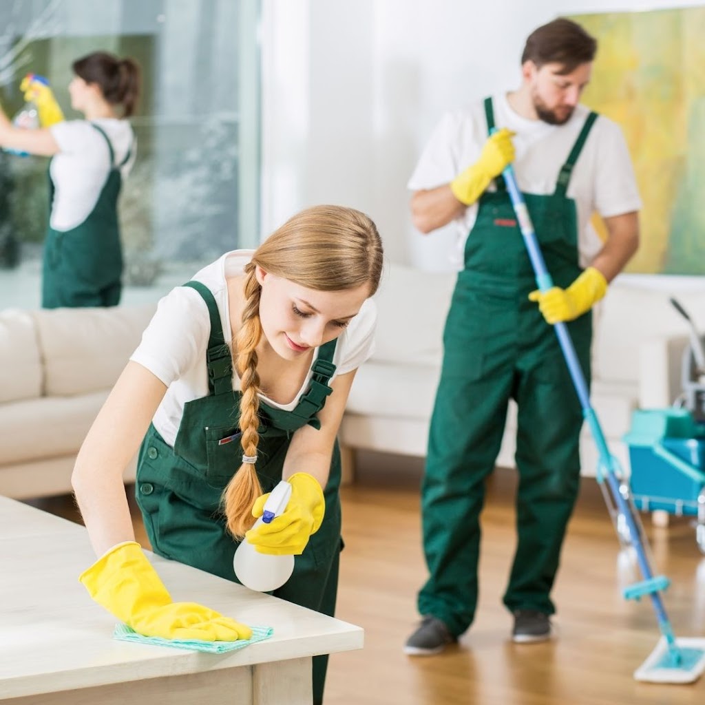 Fine Cleaning Services Surrey | 10065 129 St Unit# E, Surrey, BC V3T 3G6, Canada | Phone: (604) 337-1272