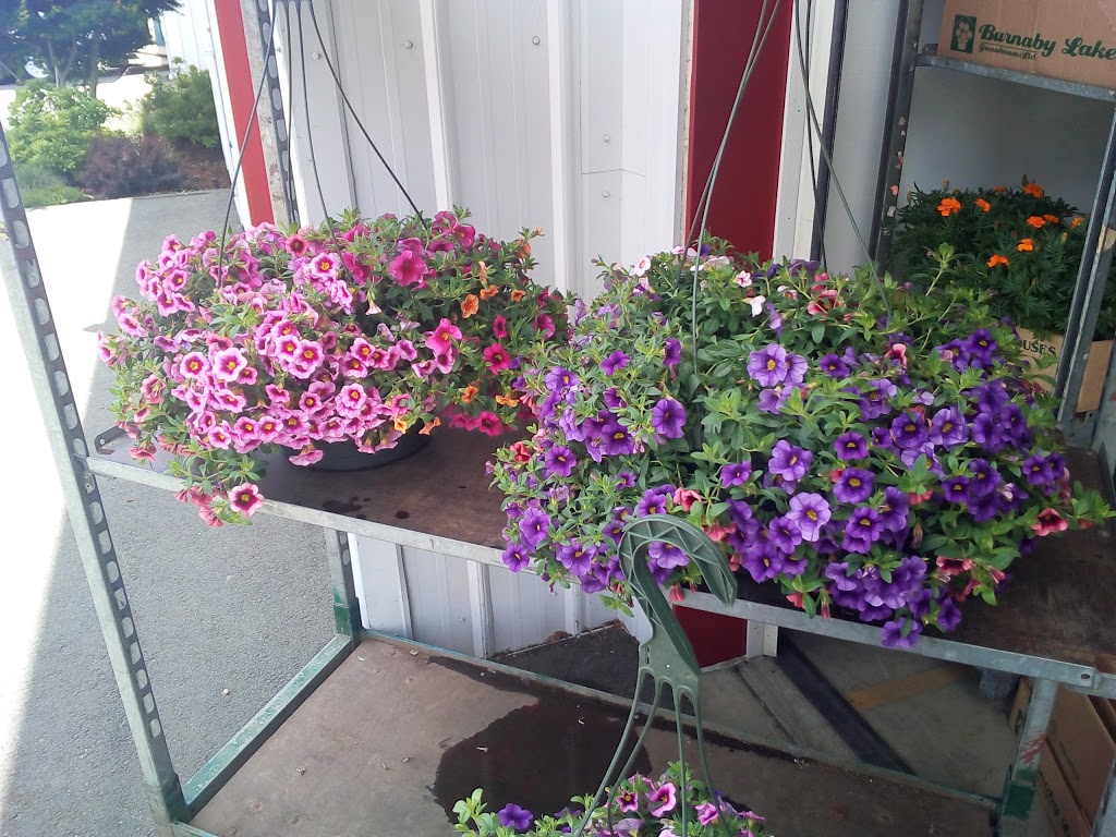 Coleman Flowers | 2075 Henry Ave, Sidney, BC V8L 1T2, Canada | Phone: (250) 655-0906