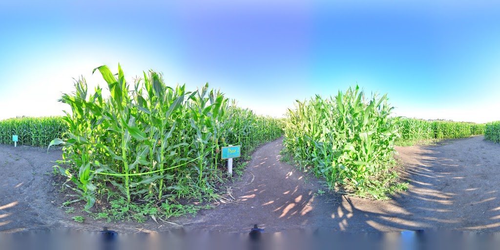 Edmonton Corn Maze | 26171 Secondary Hwy 627, Spruce Grove, AB T7Y 1B3, Canada | Phone: (825) 535-3600