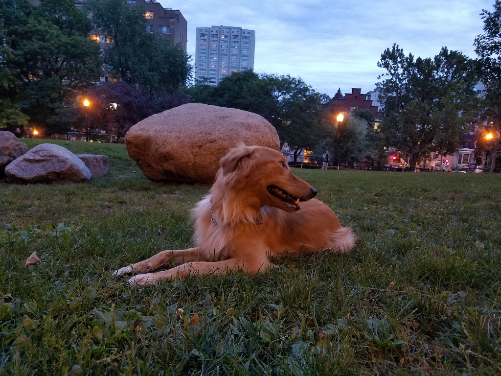 Percy Walters Park | Rue Redpath, Montréal, QC H3G 2G9, Canada