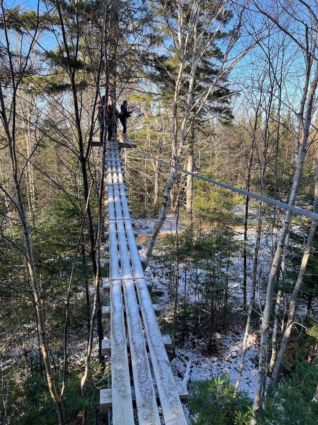 TimberTop Zip Tours | 461 Snider Mountain Rd, Snider Mountain, NB E5P 4B4, Canada | Phone: (506) 657-6060