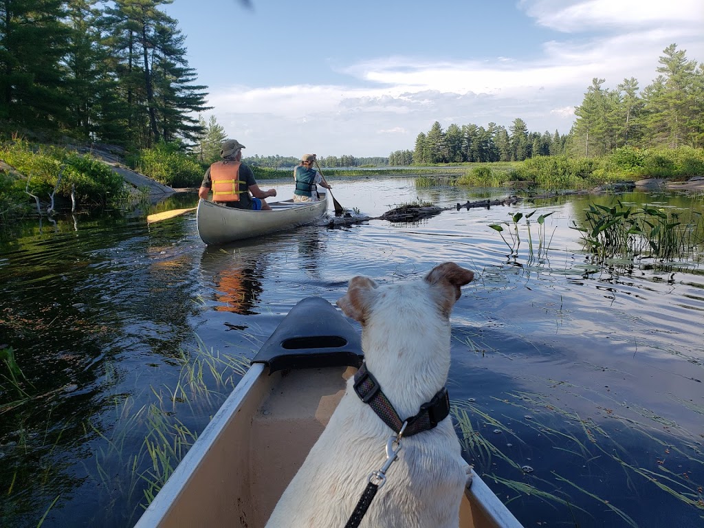 Grundy Lake Provincial Park | ON-522, Unorganized Centre Parry Sound District, ON P0G, Canada | Phone: (705) 383-2286