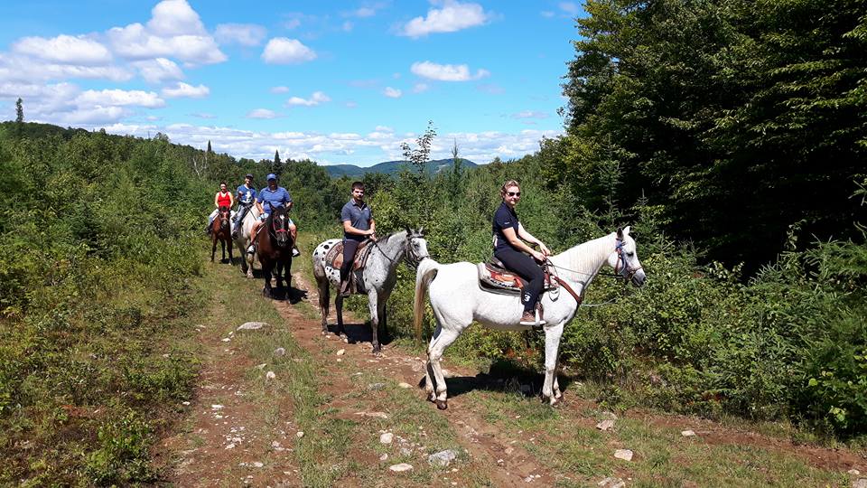 Les Écuries Du Chantecler | 1815 Rue du Mont Blanc, Sainte-Adèle, QC J8B 2Z8, Canada | Phone: (450) 229-7700