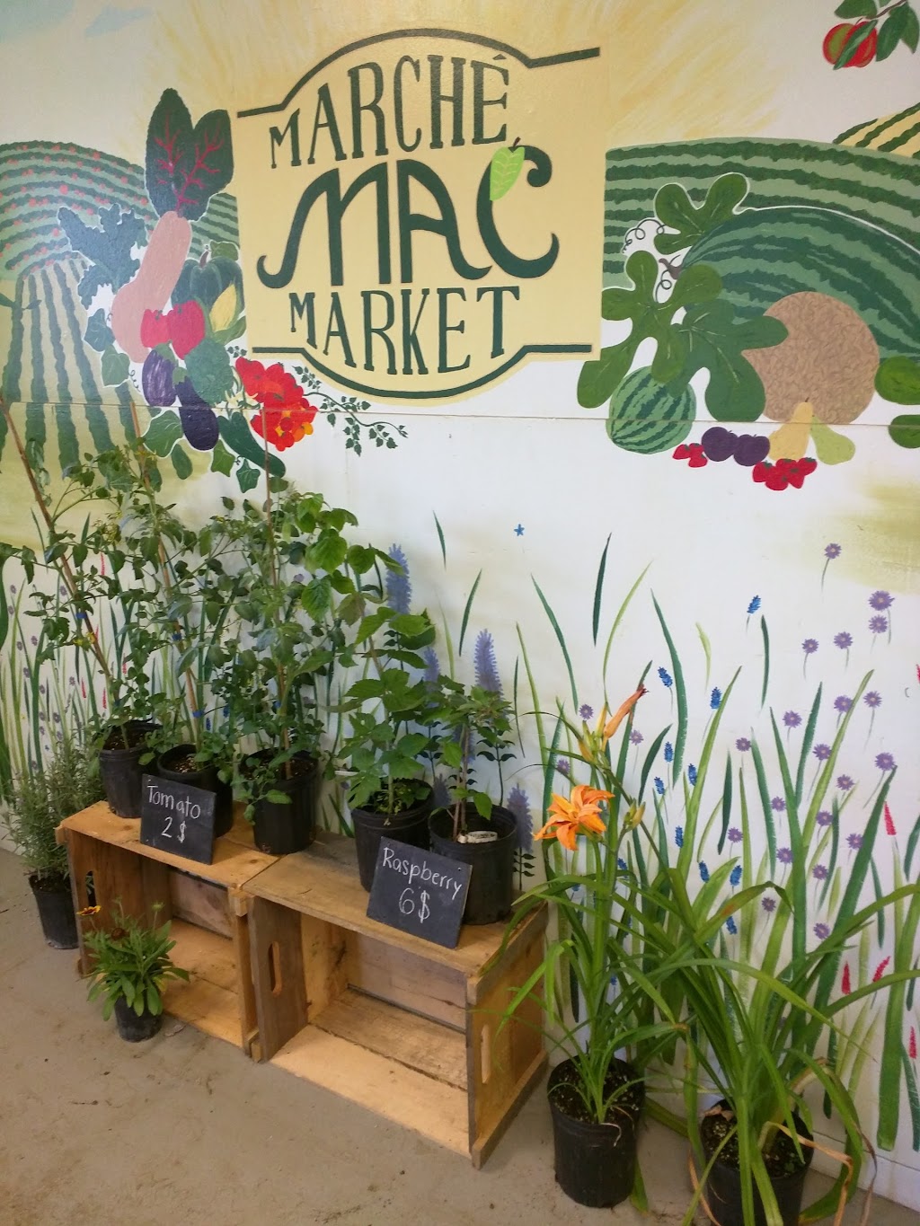 Mac Market | 17 Rue East Cottages, Sainte-Anne-de-Bellevue, QC H9X 3L9, Canada | Phone: (514) 398-7875