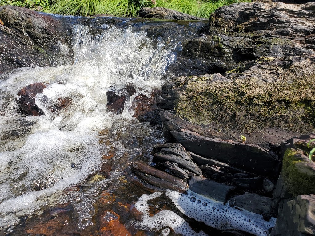 Domaine Des Iles Enchantees | 1110 Montée de la Rivière, Upton, QC J0H 2E0, Canada | Phone: (450) 549-4123