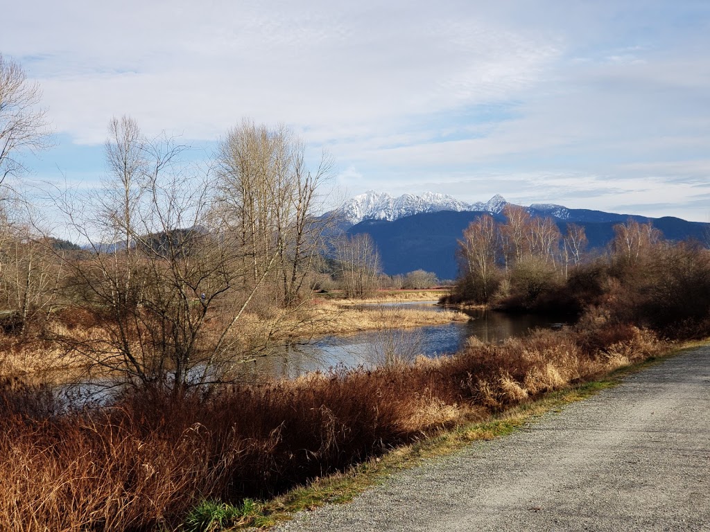 Deboville Slough | 3H8, Trans Canada Trail, Coquitlam, BC V3E 3H8, Canada