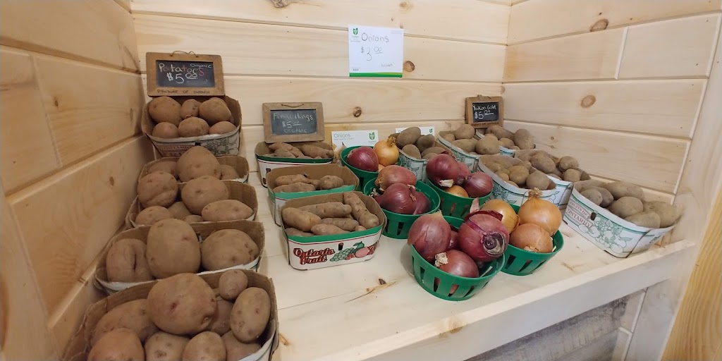 Creek Shore Farms | 1167 Lakeshore Rd W, St. Catharines, ON L2R 6P9, Canada | Phone: (289) 228-0697