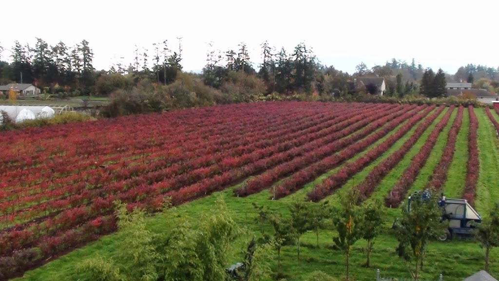 Ruby Red Farms | 11121 Rosborough Rd, North Saanich, BC V8L 5M3, Canada | Phone: (250) 655-3368