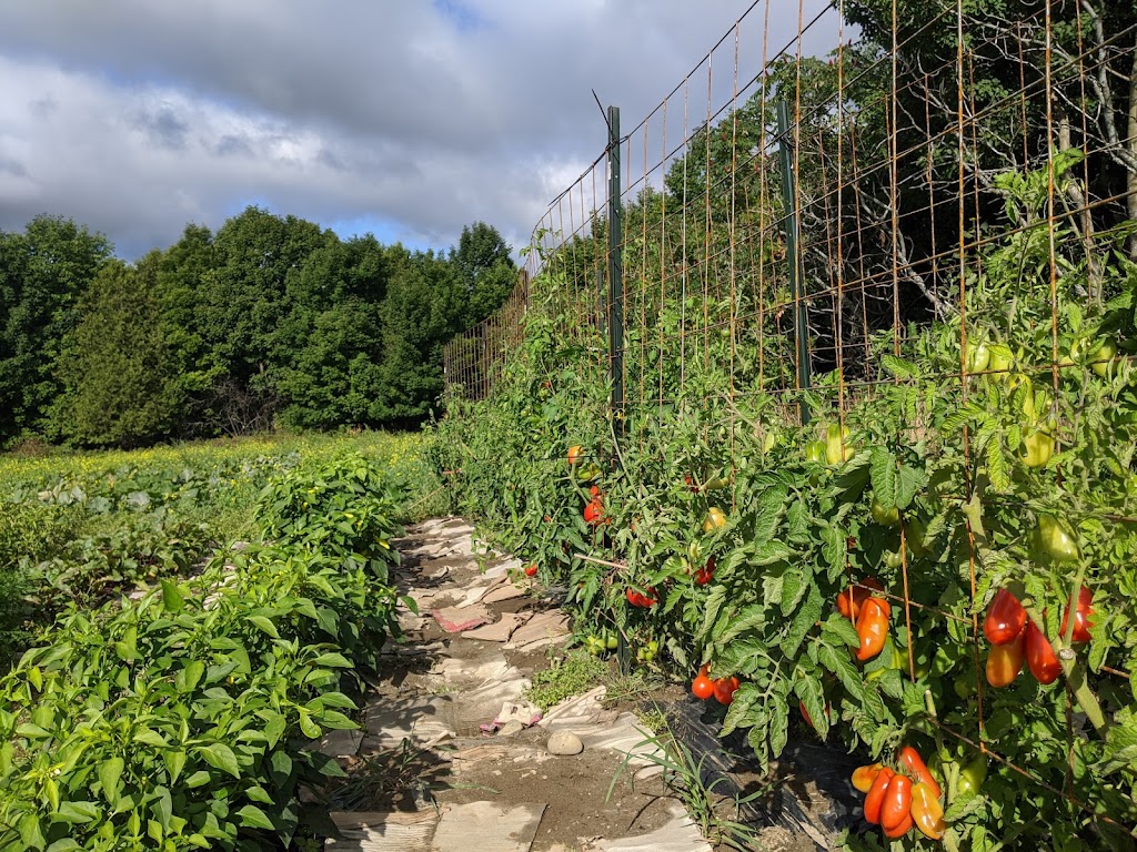 Verger Heath Orchard | 4950 Chem. Heath, Stanstead, QC J0B 3E0, Canada | Phone: (819) 876-2817