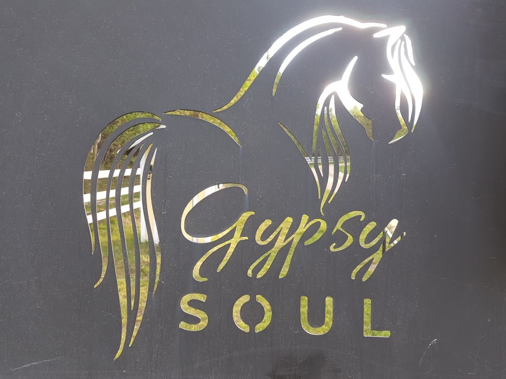 Gypsy Soul | Range Rd 41, Wabamun, AB T0E 2K0, Canada | Phone: (250) 938-3109